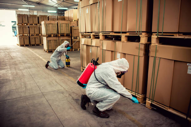 Best Termite Control Services  in Sturtevant, WI
