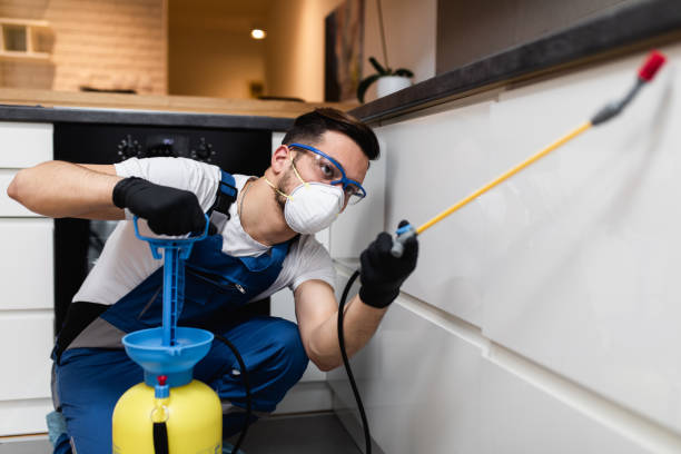 Best Emergency Pest Control  in Sturtevant, WI