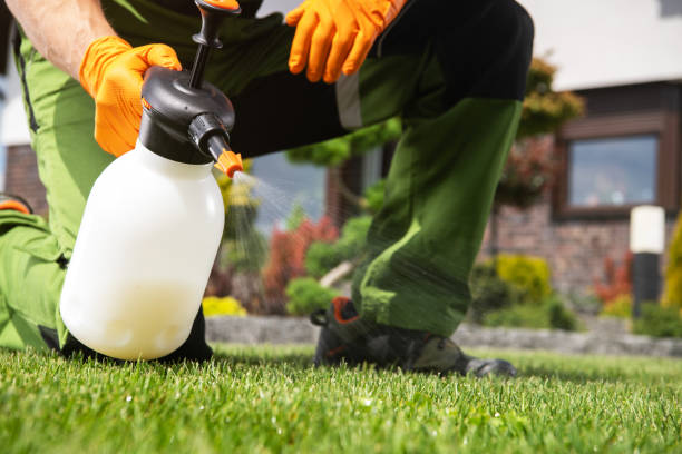 Best Residential Pest Control  in Sturtevant, WI