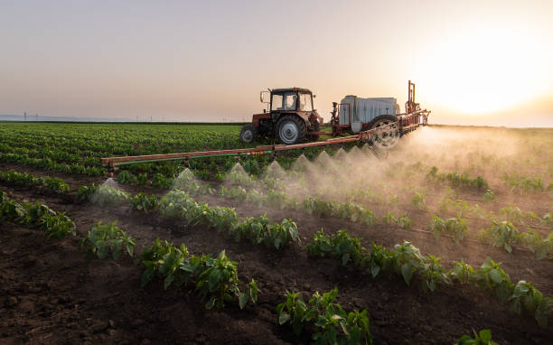 Best Pest Prevention Services  in Sturtevant, WI