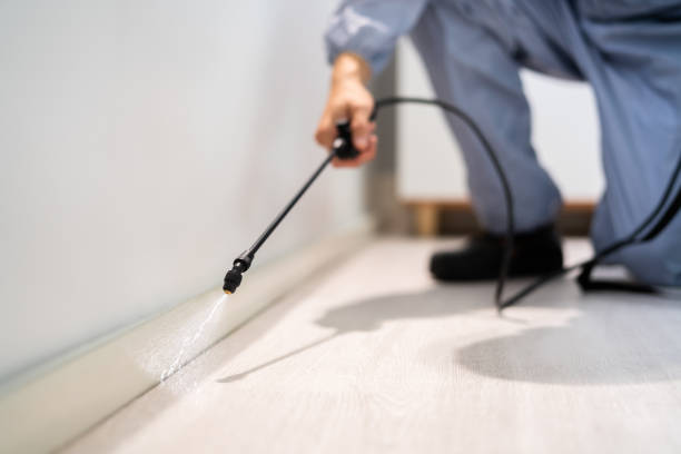 Professional Pest Control in Sturtevant, WI