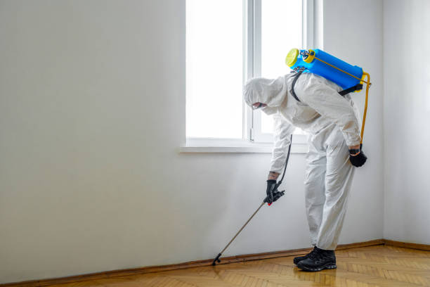 Best Best Pest Control Companies  in Sturtevant, WI