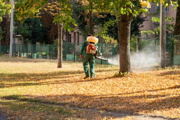 Best Wasp Removal Services  in Sturtevant, WI