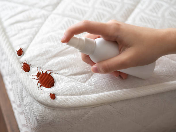 Best Best Pest Control Companies  in Sturtevant, WI