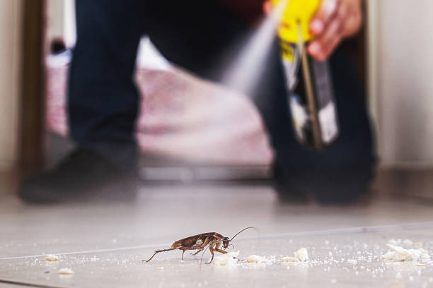 Reliable Sturtevant, WI Pest Control Solutions