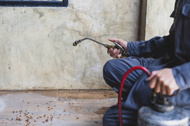 Best Pest Inspection Near Me  in Sturtevant, WI